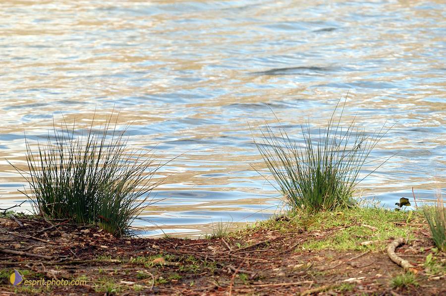 Nom de l'image : D1120217-01_(c)Norbert-JUNG — Description :  PËlerinage de Chartres 2004